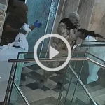 سرقت از پاساژ طلافروشی | سرباز نگهبان تیر خورد